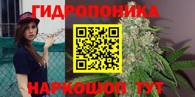 дурь Волжский
