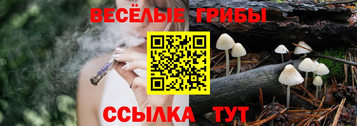 Псилоцибиновые грибы прущие грибы  Вход с VPN  Дюртюли 