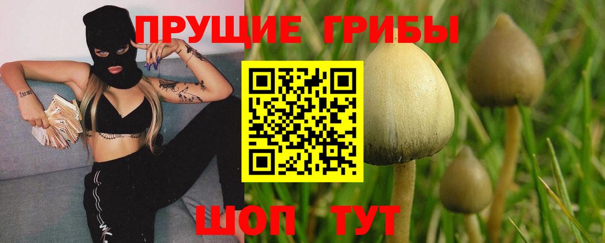 Псилоцибиновые грибы мицелий Дюртюли